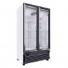 Refrigerador con 2 puertas de cristal 23 ft METALFRIO RB500